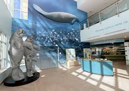 Manatee Lagoon